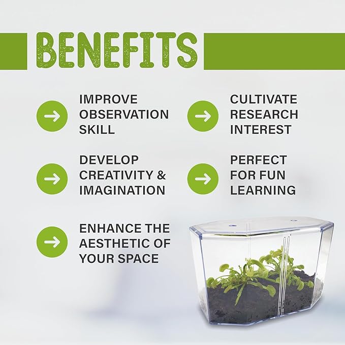 Double Venus Fly Trap Live Plant Set with Terrarium + Carnivorous Plants Food Bundle with Feeding Tweezers - Carnivorous Plant Soil and Live Indoor Venus Flytrap Pair