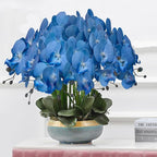 FagusHome 32 Inch Artificial Phalaenopsis Flowers 6 Pcs Artificial Orchid Flowers Stem Plants for Home Décor (Blue)