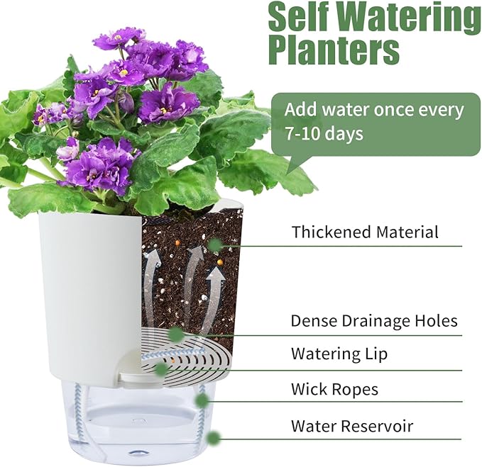 Oliz 6 Inch Self Watering Planter Pots for Indoor Plants, 3 Packs African Violet Pots with Wick Rope and Visible Reservoir Self Watering Planter for Herb, Houseplants