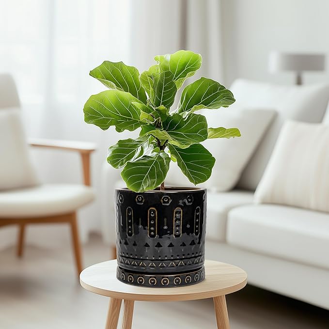 Ceramic Pot for Plants - 8 Inch Plant Pots Indoor with Drainage Hole and Saucer, Decorative Round Planter Outdoor, Boho Ceramic Planter for Flower, House Garden Decor, Gardening Gifts, Black