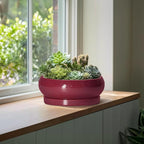 Bonsai Tree Pots 13 Inch - Ceramic Bonsai Pots with Drainage Hole and Tray, Large Succulent Planters Indoor, Round Bowl Planter Outdoor, Shallow Planter, House Decor, Birthday Gifts, Wine Red