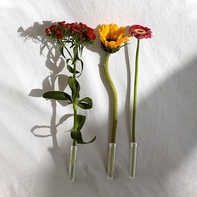 AIEX 48pcs Reusable Plastic Flower Water Tubes with Cap, 2.8" Floral Water Tubes for Single Stem Roses, Buds, Bouquets,Plants, 0.7" Opening (Transparent)