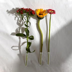 AIEX 48pcs Reusable Plastic Flower Water Tubes with Cap, 2.8" Floral Water Tubes for Single Stem Roses, Buds, Bouquets,Plants, 0.7" Opening (Transparent)