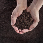 SuperMoss 01999 Agromin Organic Recycled Green Material Potting Mix, 4 Quart, Natural