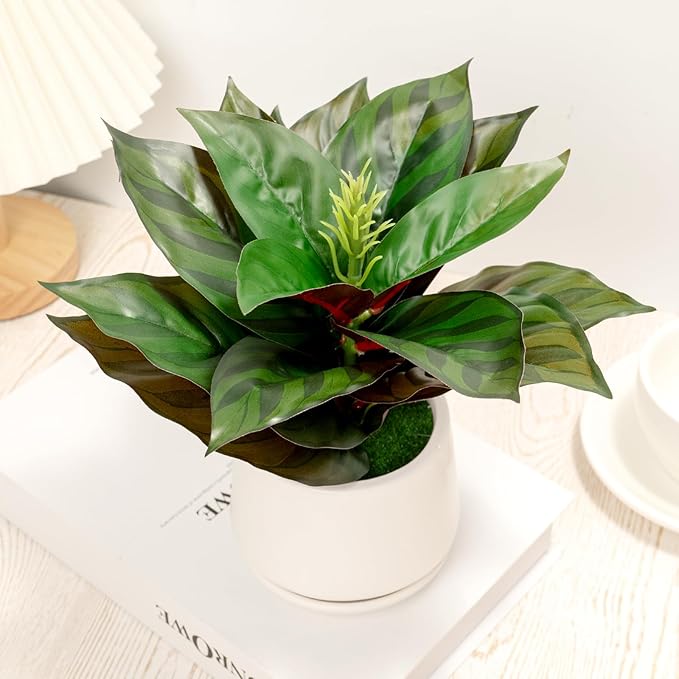 Realistic Artificial Potted Desk Plant Faux Calathea in Ceramic Pot, 8.7" Small Faux Greenery Fake Prayer Plant for Desk, Bathroom, Office, or Home Decor (Evergreen, Maintenance Free)