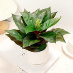 Realistic Artificial Potted Desk Plant Faux Calathea in Ceramic Pot, 8.7" Small Faux Greenery Fake Prayer Plant for Desk, Bathroom, Office, or Home Decor (Evergreen, Maintenance Free)