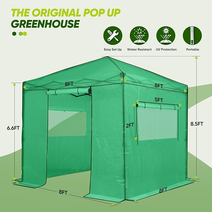 EAGLE PEAK 8x8 Portable Walk in Greenhouse, Pop Up Indoor Outdoor Greenhouse, Green House Kit with Zippered Roll-Up Doors and Windows, PE Cover, Clear/Green