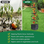MQFORU 4Pack Raised Garden Bed Planter Boxes with Trellis, 57" Self-Watering Tomato Planter Boxes with Trellis for Climbing Vegetable and Plants, Tomato Cage for Indoor Outdoor Use