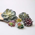 caqpo Artificial Succulents - 30 Pack - Premium Unpotted Succulent Plants Artificial - Realistic Textured Succulents - Fake Succulent Plants for DIY - Feaux Faux Cactus Plant Bulk