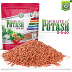 Muriate of Potash 0-0-62 Fertilizer Made in USA - MOP Potassium Plant Food for Indoor/Outdoor Plants, Flower Gardens, Fruit and Vegetable Gardens, Holistic Herbs, Trees and Green Lawns!