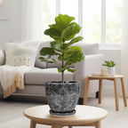 Ceraimc Planter - 8 Inch Plant Pot for Indoor Outdoor Plants, Decorative Round Planters, Flower Pot with Drainage and Saucer, Garden Porch House Room Decor, Plant Lover Gifts, Grey