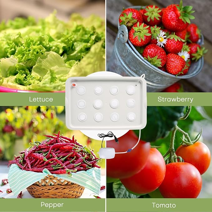 NATGAI Hydroponic System Growing Kit with Air Pump 12 Holes Soilless Cultivation Grow Box Garden Cabinet Box for Herbs, Lettuce, Vegetables