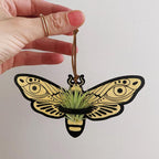 Laisgee Death Head Moth Airplant Holders, Gothic Wall Hanging, Skull Moth Indoor Planter Halloween Witchy Wood Air Fern Holders for Plant Lover Bug Collector, 2 PCS
