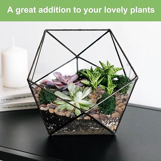 Pulovin 5 lbs Drainage Rocks for Potted Plants, 1/5 Inch Small Pebbles for Indoor Plants, Decorative Gravel for Vases, Bamboo, Succulent, Terrarium, Crafts, Cactus