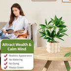 Small Money Tree Bonsai 10 inch Artificial Desk Plant in White Ceramic Pot, Realistic Indoor Faux Potted Pachira Money Plant for Home Office Living Room Decor(Maintenance Free)