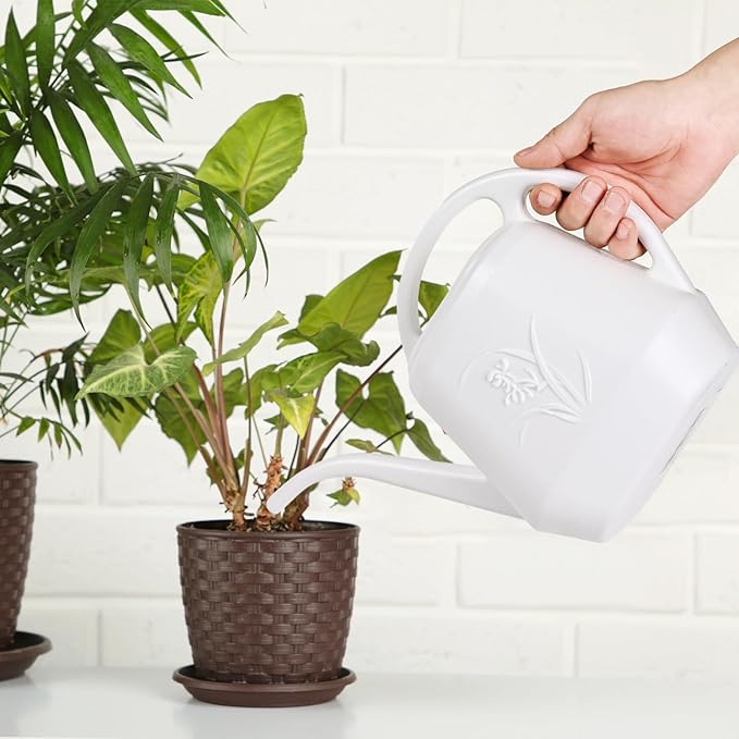Plastic Watering Can - for Indoor and Outdoor Plant - 1 Gallon - White