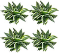 12PCS Artificial Tropical Green Plants – 15.75" Fake Hostas Outdoor Artificial Plants, UV Resistant, Faux Green Leaf Stems for Porch, Patio, Balcony, Garden Planter or Indoor Décor