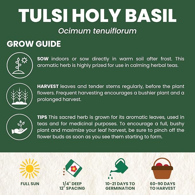 Tulsi Holy Basil – 3,250 Premium Seeds for Planting – Aromatic, Sacred, Vigorous Growth for the 2026 Season – 1 Gram Pouch