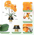 CXGS Orchids Artificial Flowers Realistic Fake Flowers in Ceramic Vase 20" Orange Faux Plants Indoor Lifelike Soft PU Phalaenopsis for Centerpiece Hotel Home Decor