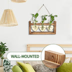 Plant Terrarium Propagation Stations Hydroponics Home Garden Decoration Gift for Women with Wooden Stand Heart Shaped Colored Glass Vase