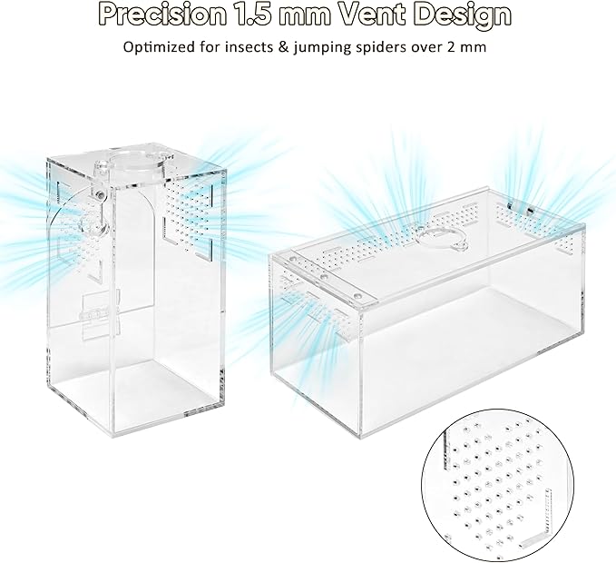 Jumping Spider Enclosure Set, Terrestrial Arboreal Combo, Acrylic Tarantula Terrarium, Praying Mantis Habitat, No Assembly, 2-Size Kit, Medium