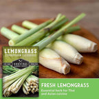 Lemongrass Seeds for Planting - Lemon Scented Asian Lemongrass for Your Home Vegetable Garden - Heirloom Non-GMO Open-Pollinated - Survival Garden Seeds (2 Packs)