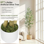 HZXGCP 6ft Artificial Olive Tree Indoor, Fake Olive Tree with White Pot, Faux Olive Tree with Dense Leaves & Realistic Fruits, Tall Artificial Plant for Home Living Room Office Entryway Decor