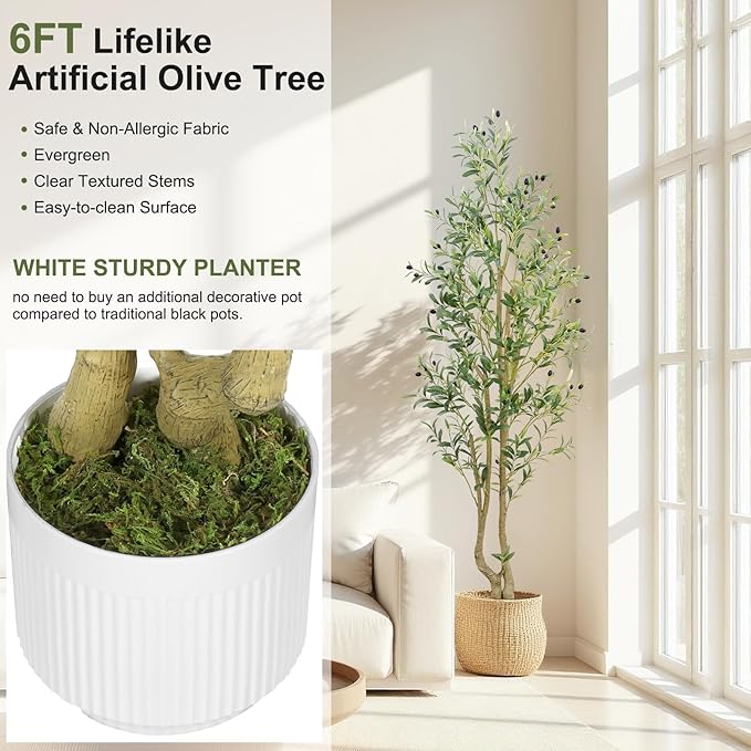HZXGCP 6ft Artificial Olive Tree Indoor, Fake Olive Tree with White Pot, Faux Olive Tree with Dense Leaves & Realistic Fruits, Tall Artificial Plant for Home Living Room Office Entryway Decor