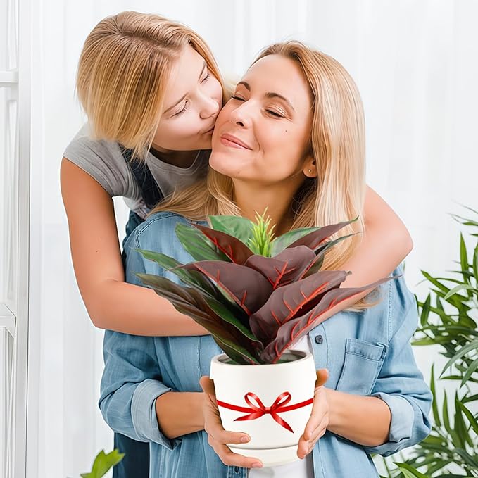 Realistic Artificial Potted Desk Plant Faux Calathea in Ceramic Pot, 8.7" Small Faux Greenery Fake Prayer Plant for Desk, Bathroom, Office, or Home Decor (Evergreen, Maintenance Free)