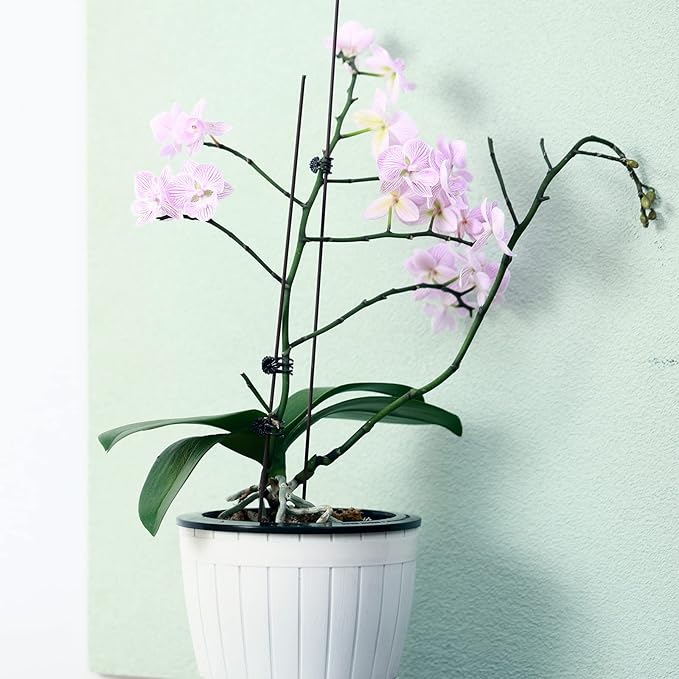6 Packs 6.5 Inches Self Watering Pots for Indoor Plants Large Plastic African Violet Pots Home Flower Pot Planters for Devil's Ivy, Spider Plant, White