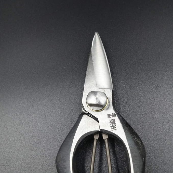 Tobisho Pruning bud cut scissors Bracket stop 180mm Bonsai
