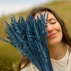Dried Preserved Lavender Flowers Bundle, 100% Natural Dried Lavender Bouquet 15-17" for Crafts, Shower, Weeding and Home Decor, Aromatherapy, Fragrance, Fresh, Dry (Blue-1.76oz)