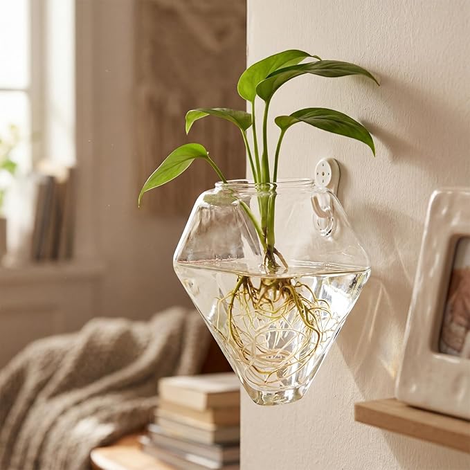 Yungyan 6 Pack Glass Wall Vase Plant Propagation Wall Hanging with Nail Hooks Diamond Propagation Station Flower Vase Glass Terrariums Plant Hanger for Home Office Bathroom Living Room Decor