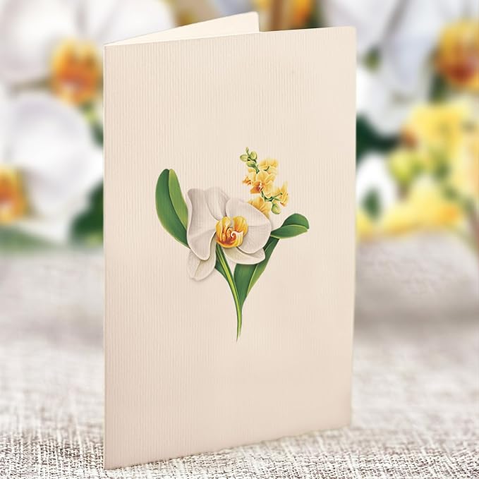 Freshcut Paper Pop Up Cards, Mini Serenity Orchid, 6 Inch Mini Sized Paper House Plants 3D Popup Greeting Card, Birthday Card, Get Well Gifts, Blank Notecard & Envelope