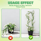 6 Pack Plant Trellis for Hoya Pothos, 3 U-Shaped & 3 Round Indoor Plant Trellis, Rustproof Acrylic Climbing Plant Support for Vines Flowers Potted Plants
