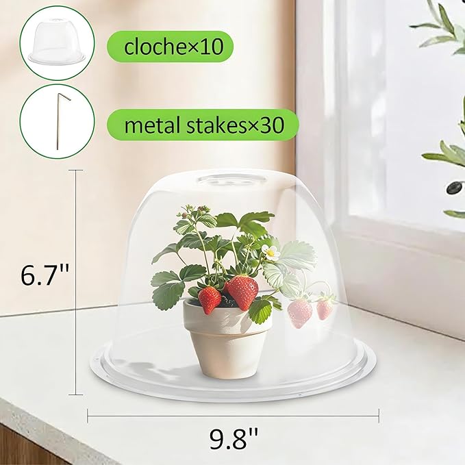10" D × 6.7" H Plant Protectors from Animals, Garden Cloches for Seedlings Nursery Pots, Durable Humidity Domes with Ventilation Holes, Clear Plant Covers, Mini Greenhouse for Plants 10-Pack