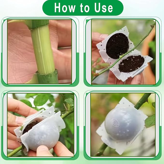 Markeny Reusable Plant Rooting Ball, Plant Propagation Root Ball Effective Invisible Propagation(15PCS), White