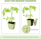Side-Open Seed Starter Tray 4-Pack, 24 Cells Modular Design with Detachable Plant Cells, Extra-Large 2.36"x2.28" Cells, Reusable Seed Germination Kit for Indoor & Outdoor Gardening