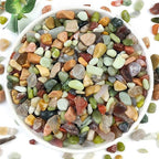 YISZM 5LB Succulent and Cactus Colorful Pebbles, 3/8 Inch Pebbles for Indoor Plants, Natural Decorative Polished River Rocks for Vases, Planters and Outdoor Gardening