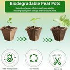 Seed Starter Tray,240 Cell Biodegradable Peat Pots Seed Starter Kit,Organic Germination Trays for Vegetable Flower Seedlings with 20 Plant Labels & 2 Garden Tools -20 Pack