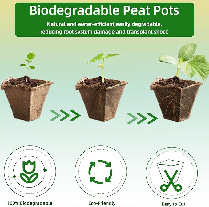 Seed Starter Tray,240 Cell Biodegradable Peat Pots Seed Starter Kit,Organic Germination Trays for Vegetable Flower Seedlings with 20 Plant Labels & 2 Garden Tools -20 Pack