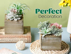Der Rose 2 Pack Fake Plants Succulents Plants Artificial Cactus Plants in Wood Pots with Pink Flowers for Farmhouse Bathroom Decor