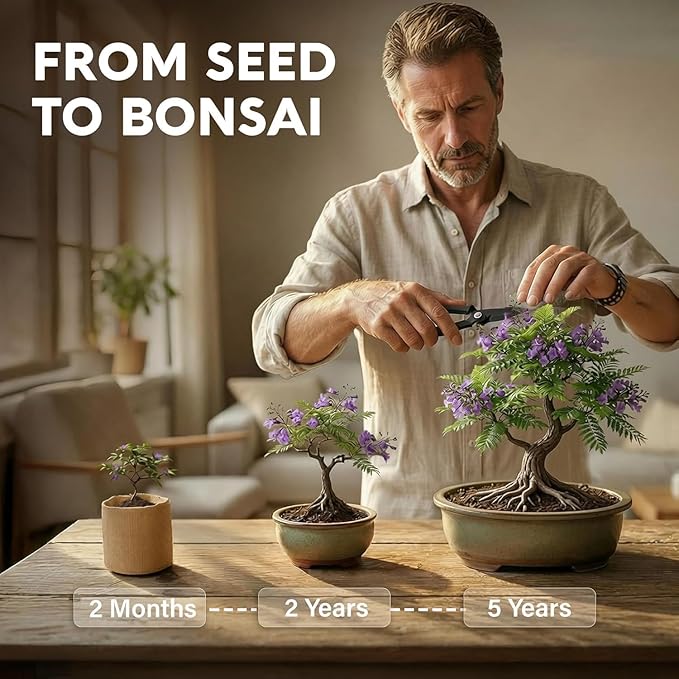 AVERGO Bonsai Tree Kit Classic - 5X Unique Japanese Bonzai Trees | Complete Indoor Bonsai Starter Kits for Growing Trees – DIY Gardening Gifts for Mother, Women & Men