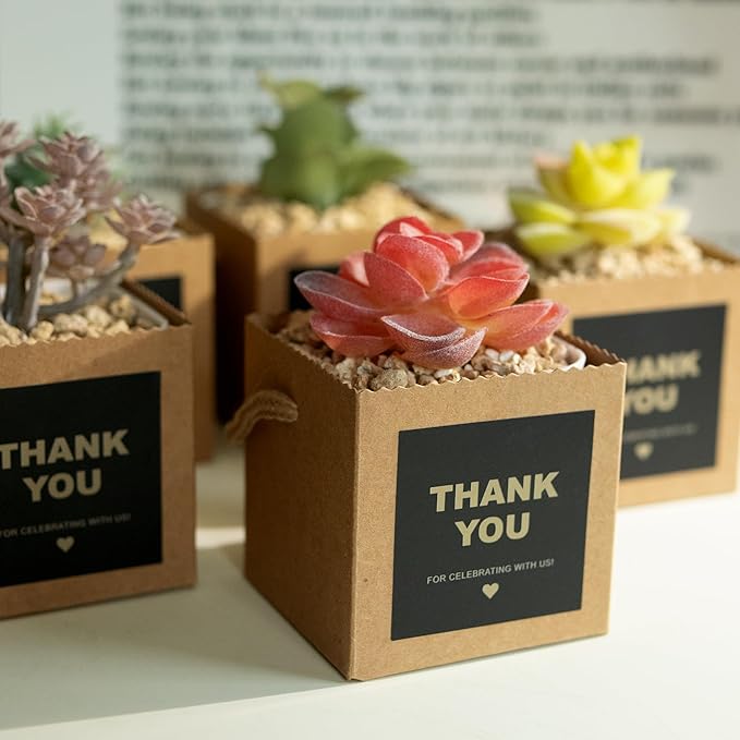 Temlum 2.5 Inch Succulent Wrap Bags (Fits 2.5″ Pots) with Thank You & Let Love Grow Stickers, Small Gift Box for Wedding, Baby Shower, Succulent Party Favors for Guests (Brown 100pcs)
