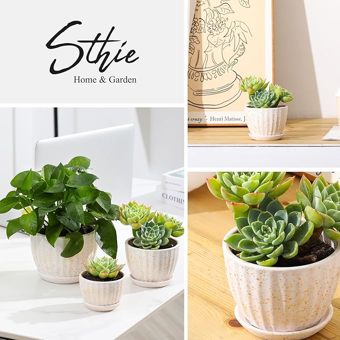 STHIE Ceramic Plant Pots with Drainage Holes and Saucers, Round Flower Pots for Indoor Plant, Diameter 3.3/4.3/5.5 Inches Small Flower Planters Set of 3