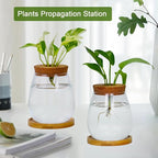 Desktop Plants Terrarium Propagation Station Hydroponic Planters Retro Oval Glass Vase with Lid and Stand Home Office Decoration Gifts 2 Pack