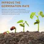 Soil Pro Activator, Soil Activator for Plants, Water Soluble Formula, Organic SoilActivators and Fertilizers, Promotes Nutrient Absorption and Root Development in Vegetables and All Plants (1Pcs)