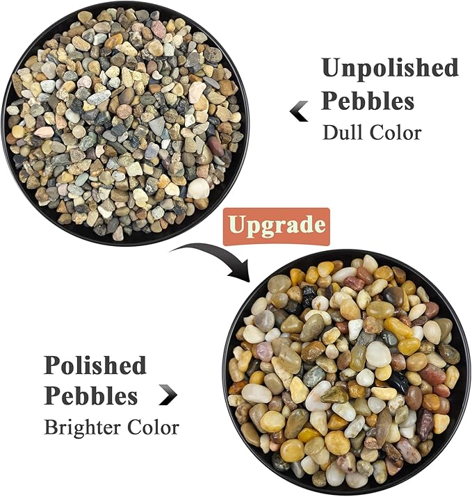 FANTIAN 2 Pounds Pebbles for Plants, 3/8 Inch Polished Pea Gravel. Decorative Stones River Rocks for Succulent Soil Cover, Cactus, Aquarium, Vase and Outdoor Garden Landscaping