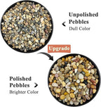 FANTIAN 2 Pounds Pebbles for Plants, 3/8 Inch Polished Pea Gravel. Decorative Stones River Rocks for Succulent Soil Cover, Cactus, Aquarium, Vase and Outdoor Garden Landscaping