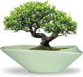 Ceramic Bonsai Pot - 18 Inch Planter with Drainage Hole Large Modern Bonsai Planter Decorative Succulent Flower Plant Pot for Indoor Plants Outdoor Green